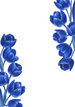 A double-sided vertical frame of hand-drawn blue tulips, an elegant floral illustration for wedding cards