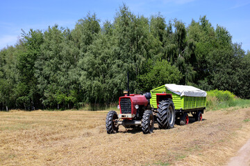 Front view of an old, red tractor with a trailer full of grain parked on the mowed wheat field