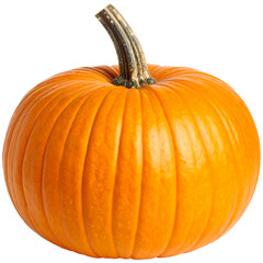 pumpkin png