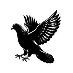 Colorful Flying Pigeon Bird Vector Illustration