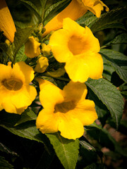 Discover the jewel of Saudi Arabia by night with this exclusive collection of images from the heart of National Museum, the birthplace of the first Saudi state.