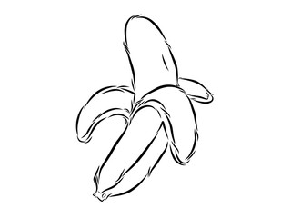 Peeled banana line vector image in modern and simple style, ideal for nutrition, healthy food and tropical designs. 