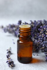 Bottle of herbal lavender oil on gray background