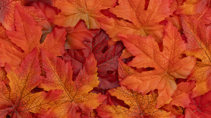 Fall Leaves autumn season background