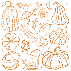 Pumpkin Line Art Illustration. Autumn Harvest, Halloween, Thanksgiving, Mushrooms and Leaves Pattern Design