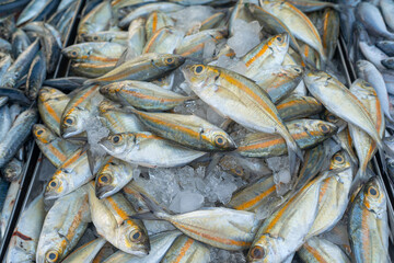 Background of tuna fish sell in traditional fishery market