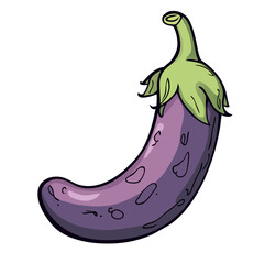 Eggplant isolated 