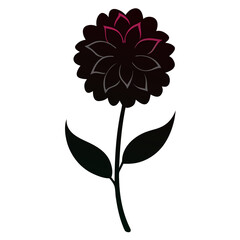  zinnia elegans silhouette on-white