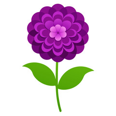 zinnia purple vector on-white