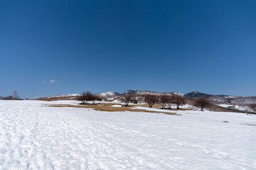 残雪期の四阿山