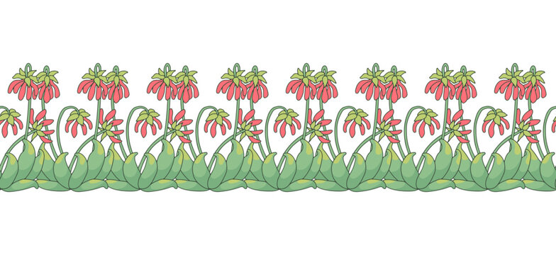 Stripe pattern with line art canary islands flowers Parror Beaks. Floral seamless border with hand drawn millefleur style botanicals