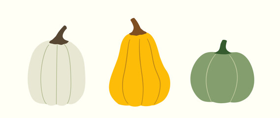 Set of fall orange, green and white pumpkins element.
Hand drawn Autumn harvest Farm fresh pumpkins flat stock vector illustration.
Good for greeting card, poster, banner, leaflet.
White background.