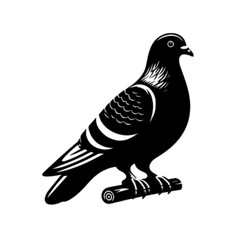 Elegant Pigeon Bird Vector Illustration
