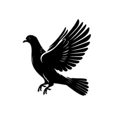 Beautiful Flying Pigeon Bird Vector Illustration