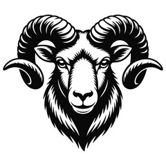 vector illustration of a sheep