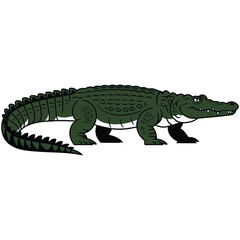 crocodile isolated on white