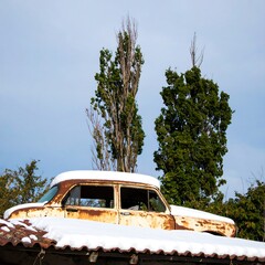 Rusty car on a snowy roof, trees in the background