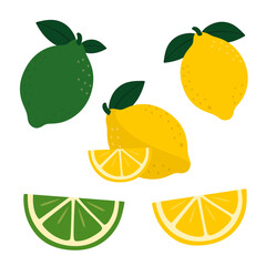 Lemon and Lime Fruit Illustration Set