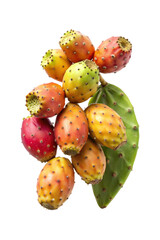 Close up of fresh prickly pears and a cactus pad isolated on white