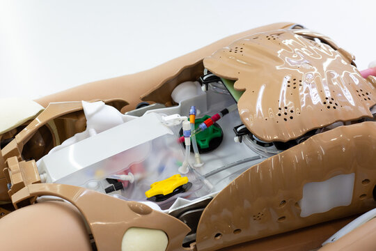 Medical training mannequin with open sections revealing artificial organs and internal components. Designed for medical professionals to practice procedures and enhance training skills