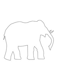 elephant vector illustration white and black