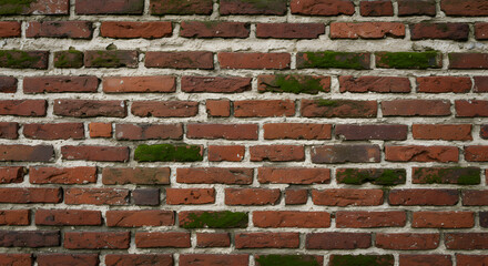 Close-up view of an old red brick wall with patches of green moss growing between some of the bricks, evoking a sense of age, decay, and the relentless march of nature reclaiming structures.