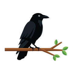 Black raven perched on a branch.