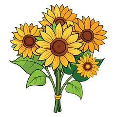 sunflower on a white background