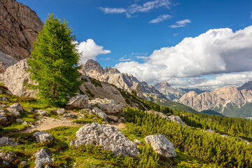 Large Boulders on a Green Mountain Slope