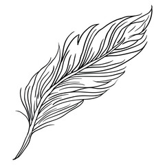 Obraz premium Hand drawing style of feather tattoo art vector. It s suitable for tattoo icon, sign or symbol.