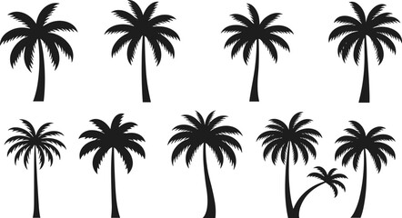 Palm tree silhouette vector set, tropical beach icons, summer nature clipart, black palm tree design, exotic vacation elements pack
