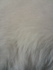Close-up of a clean, new and fluffy faux fur carpet surface. White fur.