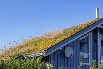 Green_Roof