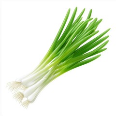 Fresh Green Onion: A close-up shot highlights the vibrant green and crisp white segments of freshly harvested green onion bunches, a culinary staple and garden delight. 