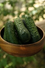 Fresh cucumbers in bowl against blurred green background, closeup