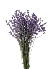 Naklejka premium Bunch of fragrant lavender flowers isolated on white