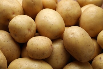 Fresh raw potatoes as background, closeup view