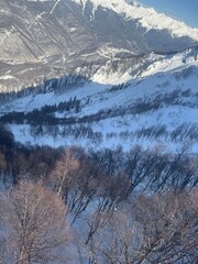 snow covered mountains