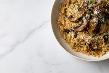 Risotto with porcini and champignon mushrooms in plate