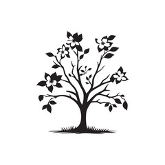 Dogwood Tree Silhouette Isolated on White Background.