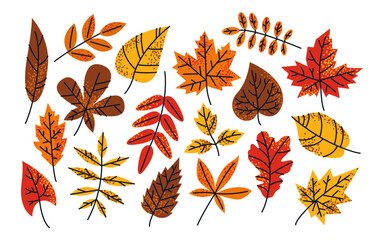 Obraz premium Autumn leaves. Seasonal foliage with texture in flat style. Fall nature.