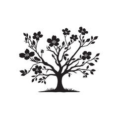 Dogwood Tree Silhouette Isolated on White Background.