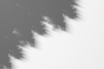 Abstract grayscale composition with blurred shapes and dynamic light