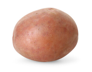 One fresh ripe potato isolated on white