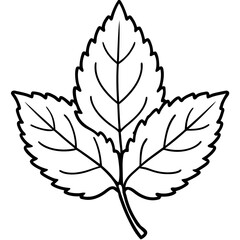 Lemon Balm Leaf Outline Vector