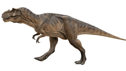 Tyrannosaurus rex isolated on transparent PNG background