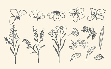 Ink Botanical Floral Line Art Collection. Set of elegant ink drawn botanical elements. Minimal black line art style, perfect for invitations, packaging, logos, stationery, patterns, and modern digital