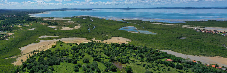 Mangrove panorama in front of the blue sea