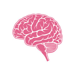 Pink human brain silhouette with white details on white background mind thinking