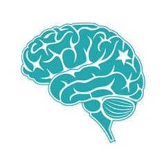 Teal brain silhouette with white internal structure and a star human head